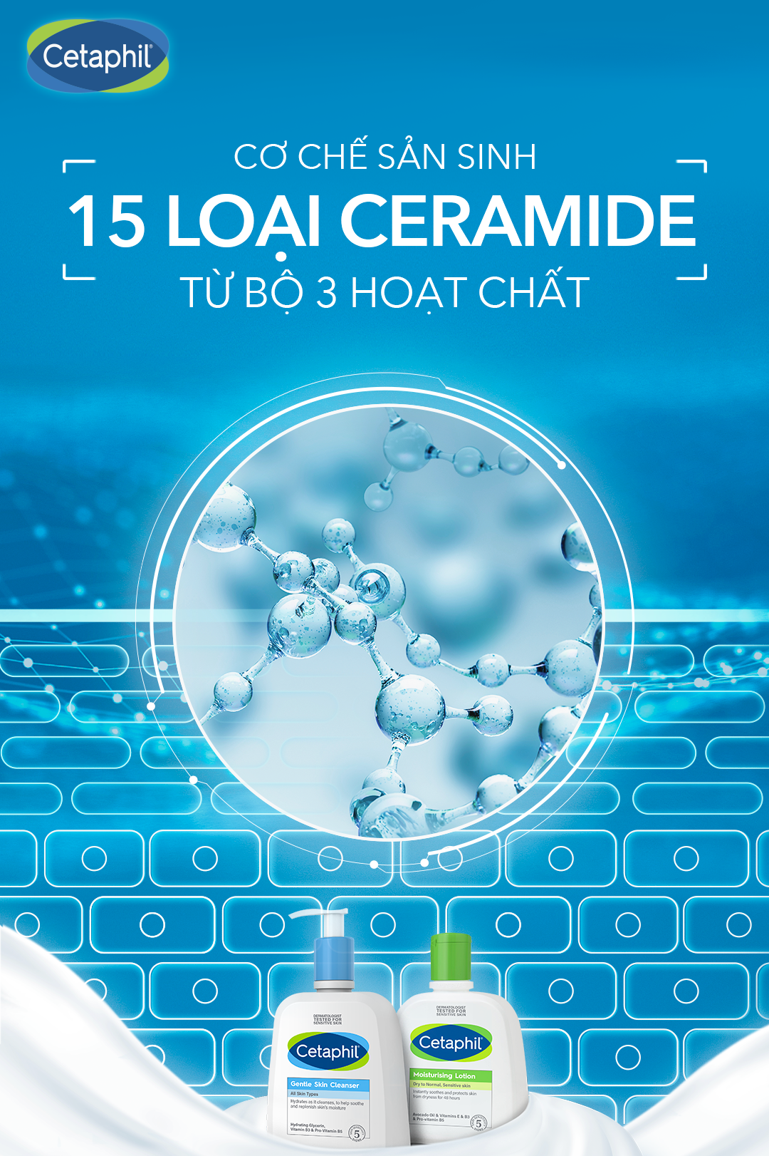 Cơ chế sản sinh 15 loại Ceramide từ bộ ba hoạt chất trong sữa rửa mặt Cetaphil Gentle Skin Cleanser